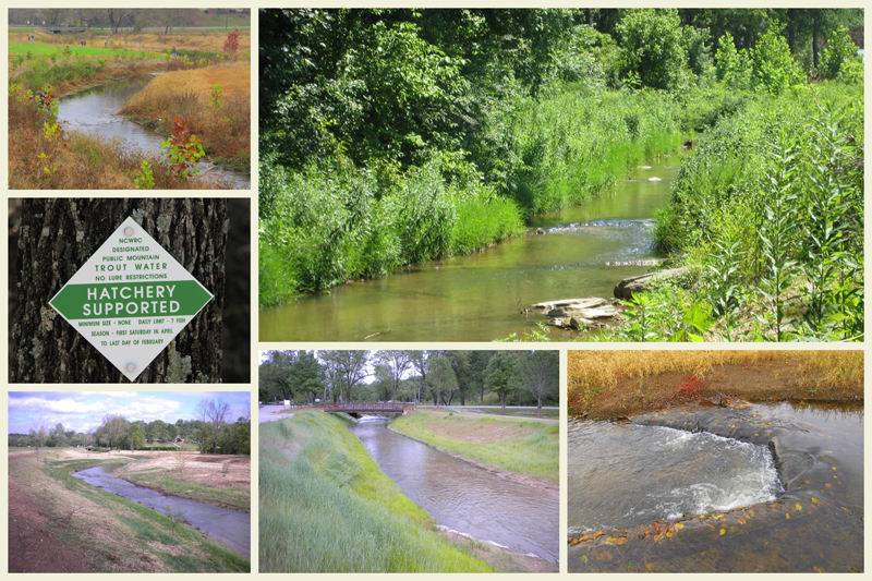 Cub Creek after images