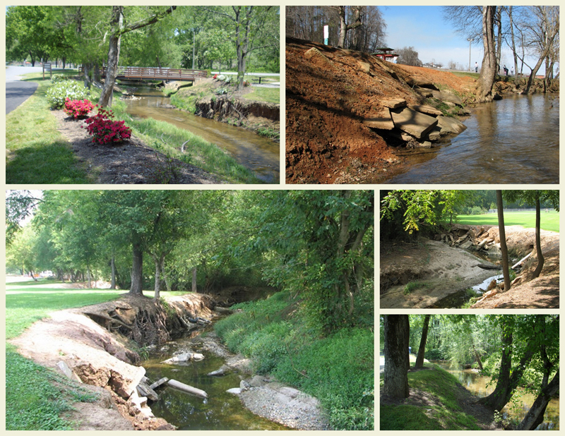 Cub Creek before images