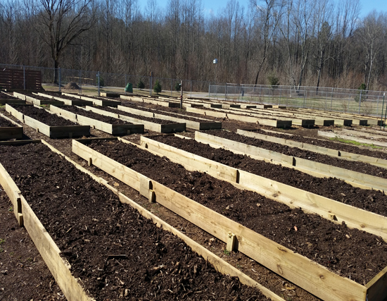 Cub Creek Community Garden Raised Beds