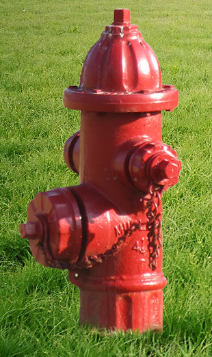 fire hydrant at dog park