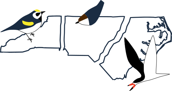 nc birding trail logo