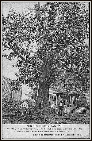 Tory Oak Post Card Front
